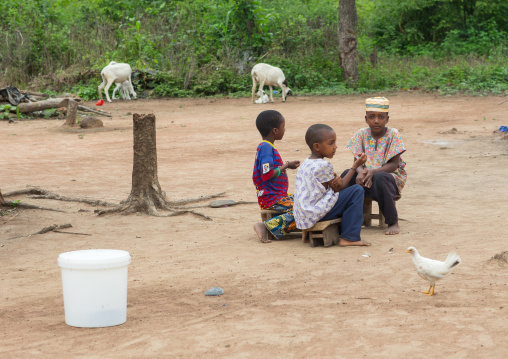 Benin, West Africa, Savalou, fulani peul tribe boys