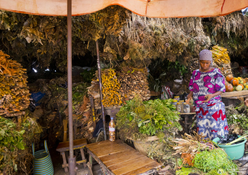 Benin, West Africa, Cotonou, herbs used for traditional medicine in dantokpa market