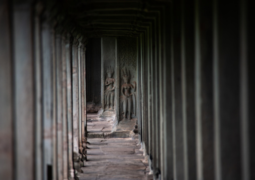 Empty corridor with columns inside a temple in Angkor wat, Siem Reap Province, Angkor, Cambodia