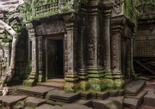 Old ruins of a temple in Angkor wat, Siem Reap Province, Angkor, Cambodia