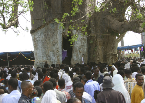 Crowd At Festival Of Mariam Dearit, Keren, Eritrea
