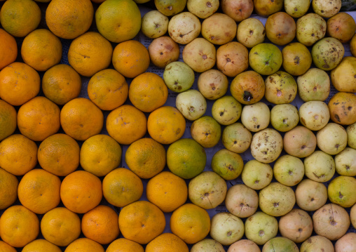 Oranges and guavas in the fruits market, Central region, Asmara, Eritrea