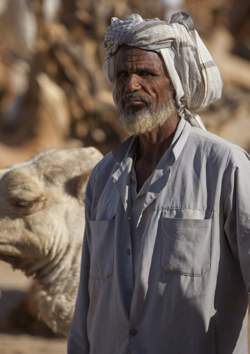 Old Man In Monday Camel Market, Anseba, Keren, Eritrea