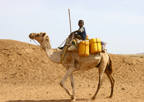 Rashaida Tribe Boy On His Camel In Danakil Desert Eritrea