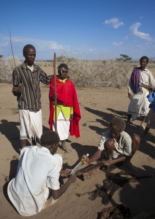 Karrayyu Tribe Men Cutting The Skin Of A Slaughtered Cow To Make Ropes During Gadaaa Ceremony, Metahara, Ethiopia