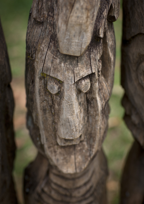 Waga Wooden Carved Sculptures Devoted To The Dead Konso Tribe Omo Valley Ethiopia