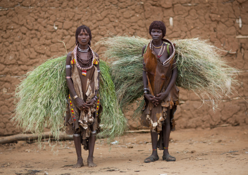 Portrait Of Couple Hamer Beautiful Women Carrying Load Of Straw Posing In Front Of Clay House Omo Valley Ethiopia