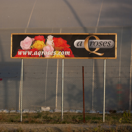 Fence protecting roses plantations greenhouse, Aqroses, Adama, Ethiopia