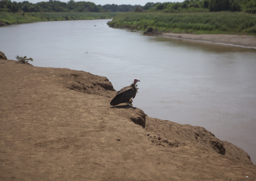Omo River Banks, Kangate, Omo Valley, Ethiopia