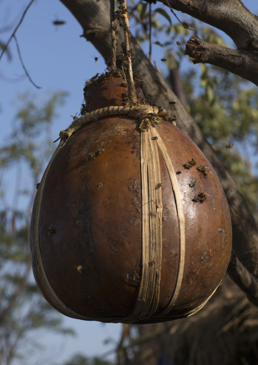 Honey In A Calabash, Hana Mursi Market, Ethiopia