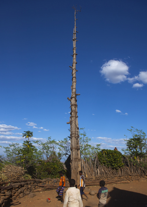 Generation Pole, On The Ceremonial Square, Erected During Initiation Ceremonies Konso Village, Southern Ethiopia