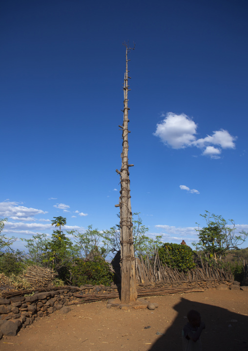 Generation Pole, On The Ceremonial Square, Erected During Initiation Ceremonies Konso Village, Southern Ethiopia