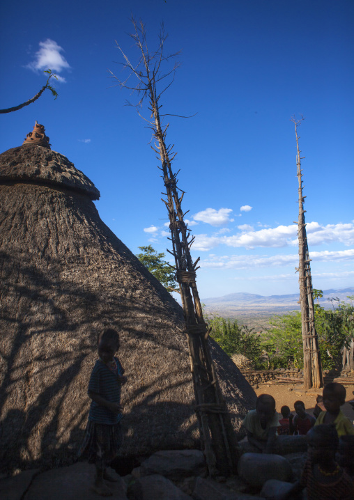 Generation Pole, On The Ceremonial Square, Erected During Initiation Ceremonies Konso Village, Southern Ethiopia