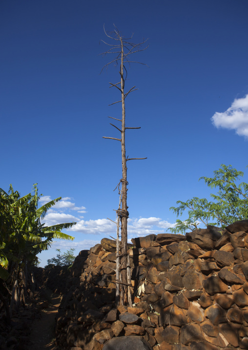 Generation Pole, On The Ceremonial Square, Erected During Initiation Ceremonies Konso Village, Southern Ethiopia