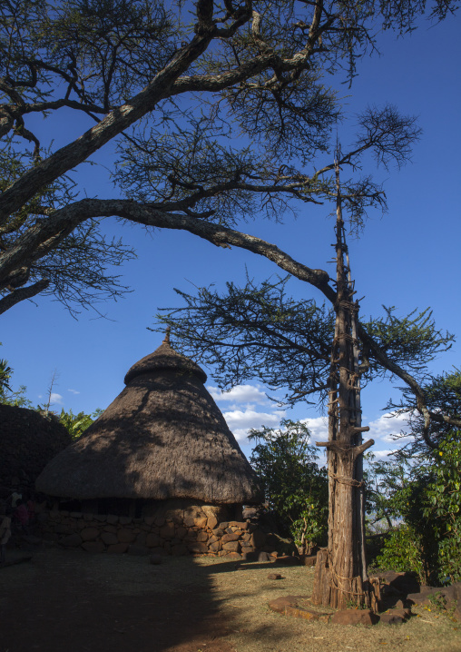 Generation Pole, On The Ceremonial Square, Erected During Initiation Ceremonies Konso Village, Southern Ethiopia