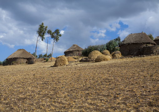 Traditional Houses In The Ethiopian Highlands, Lalibela, Ethiopia