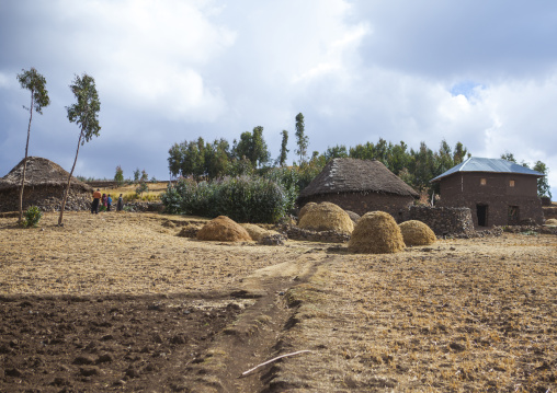 Traditional Houses In The Ethiopian Highlands, Lalibela, Ethiopia