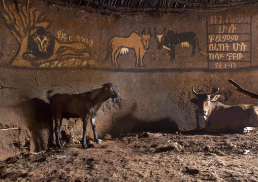 Mural Paintings Inside A House, Dila, Ethiopia