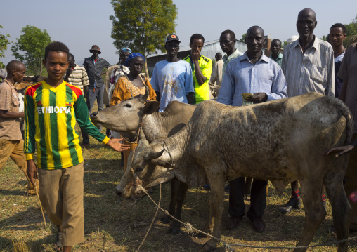Nuer Tribe Livestock And Catlle Market, Gambela, Ethiopia