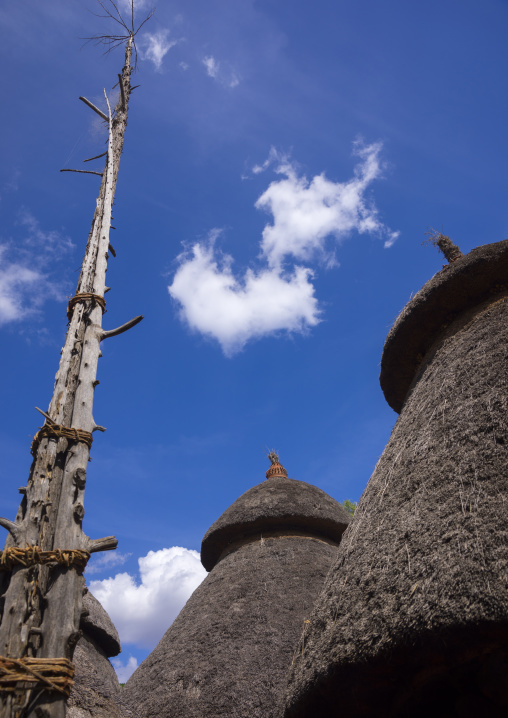 Generation Pole, On The Ceremonial Square, Erected During Initiation Ceremonies Konso Village, Southern Ethiopia