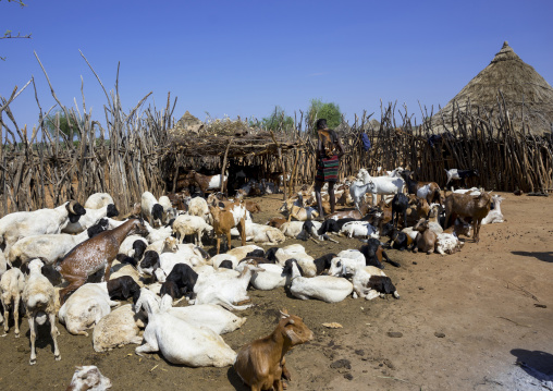 Mourning Ceremony In Hamer Tribe, Turmi, Omo Valley, Ethiopia
