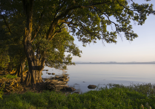 Lake Tana, Bahir Dar, Ethiopia