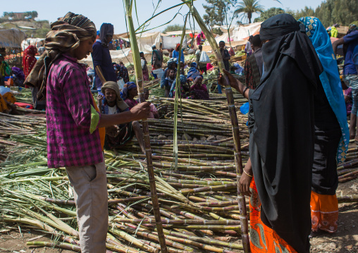 Women in burqa on a market buying sugarcanes, Oromo, Sambate, Ethiopia
