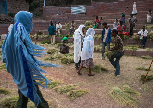 Ethiopian selling grass for kidane mehret orthodox celebration, Amhara region, Lalibela, Ethiopia