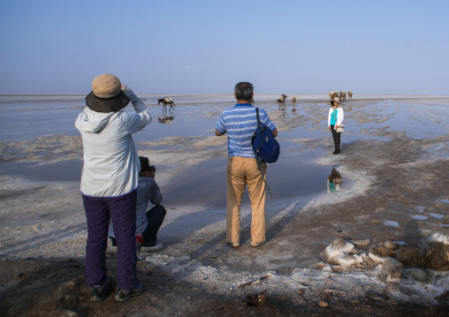 Tourists taking pictures of a camel caravan carrying salt through the danakil depression, Afar region, Dallol, Ethiopia