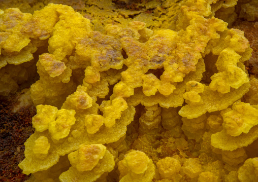 The colorful potassium salt crust formed by hot springs in the danakil depression, Afar region, Dallol, Ethiopia