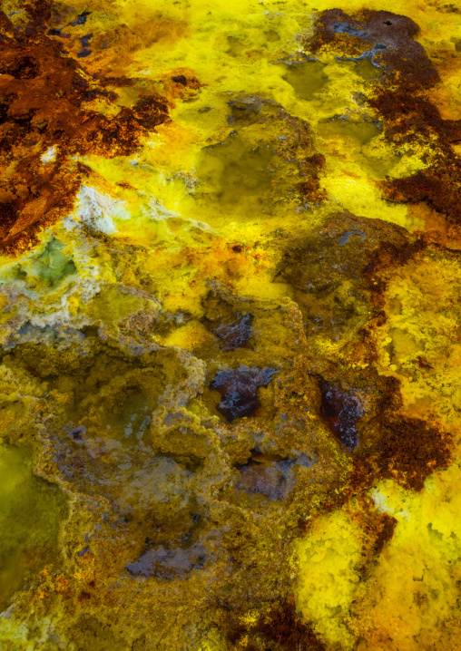 The colorful potassium salt crust formed by hot springs in the danakil depression, Afar region, Dallol, Ethiopia