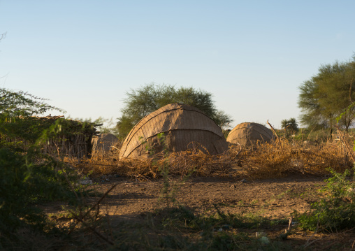 Traditional afar tribe village, Afar region, Afambo, Ethiopia