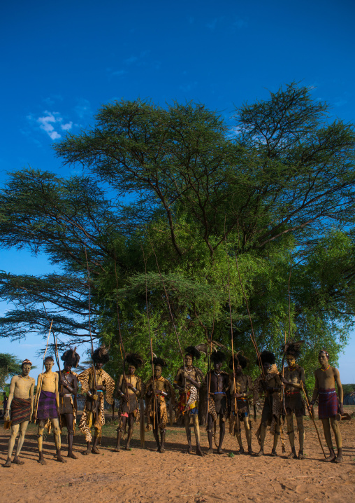 Dassanech men with leopard skins and ostrich feathers headwears during dimi ceremony to celebrate circumcision of teenagers, Omo valley, Omorate, Ethiopia