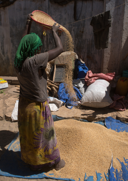 Woman sleving teff in the street, Harari region, Harar, Ethiopia