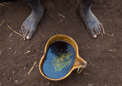 Bodi tribe man drinking coffee in a calabash, Omo valley, Hana mursi, Ethiopia