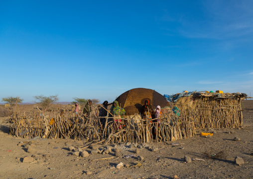 Afar tribe women building a hut behind a wooden fence, Afar region, Mile, Ethiopia