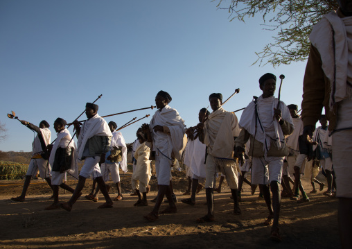 Borana tribe men with their ororo sticks during the Gada system ceremony, Oromia, Yabelo, Ethiopia