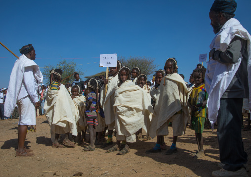 Dabale age grade boys during the Gada system ceremony in Borana tribe, Oromia, Yabelo, Ethiopia