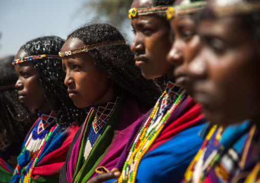 Borana tribe virgin girls during the Gada system ceremony, Oromia, Yabelo, Ethiopia