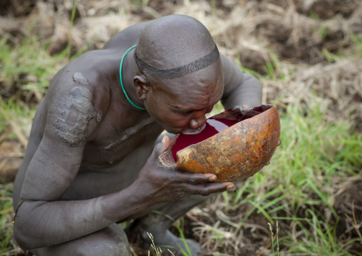 Suri Man Drinking Fresh Cow Blood, Turgit Village, Omo Valley, Ethiopia