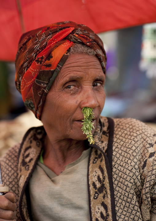 Old Woman With A Medicinal  Flower In The Nose, Woliso Market, Ethiopia
