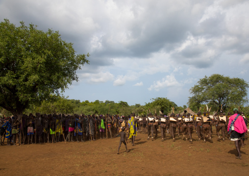 Bodi tribe fat men during Kael ceremony, Omo valley, Hana Mursi, Ethiopia