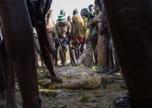 People covering themselves with cow dungs during the proud ox ceremony in the Dassanech tribe, Turkana County, Omorate, Ethiopia