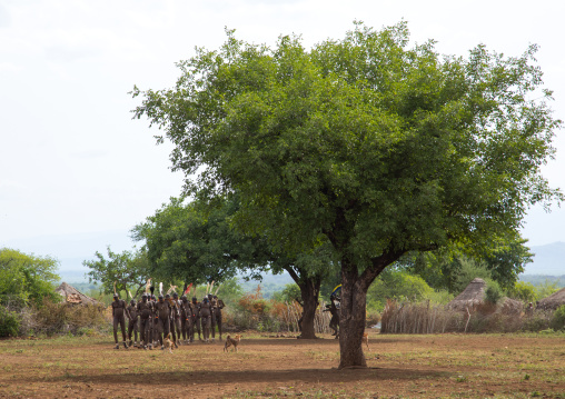 Bodi tribe fat men running around a big tree during Kael ceremony, Omo valley, Hana Mursi, Ethiopia