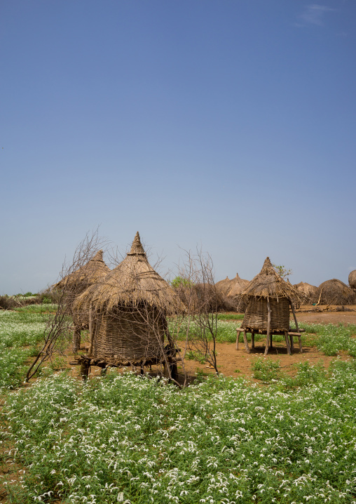 Nyangatom tribe granaries in a village, Omo valley, Kangate, Ethiopia