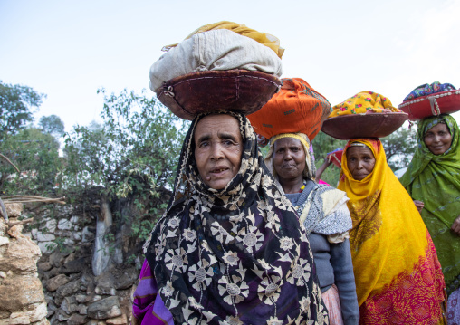 Harari women bringing injeras in baskets on their heads for a muslim celebration, Harari Region, Harar, Ethiopia