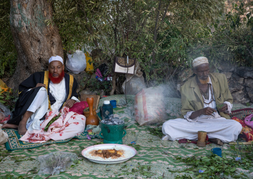 Harari men chewing khat during a sufi celebration, Harari Region, Harar, Ethiopia