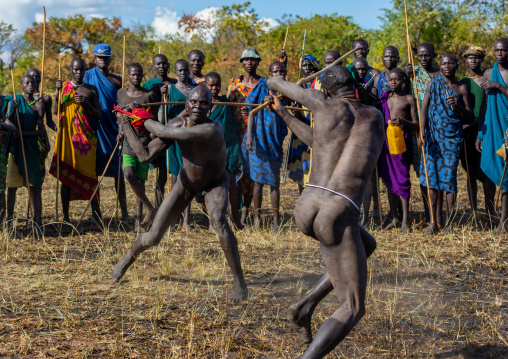 Suri tribe warriors fighting during a donga stick ritual, Omo valley, Kibish, Ethiopia