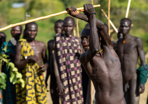 Suri tribe warriors fighting during a donga stick ritual, Omo valley, Kibish, Ethiopia