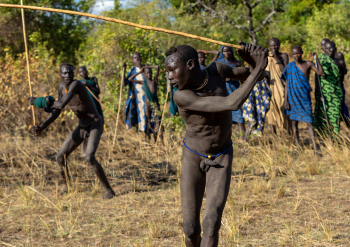Suri tribe warriors fighting during a donga stick ritual, Omo valley, Kibish, Ethiopia